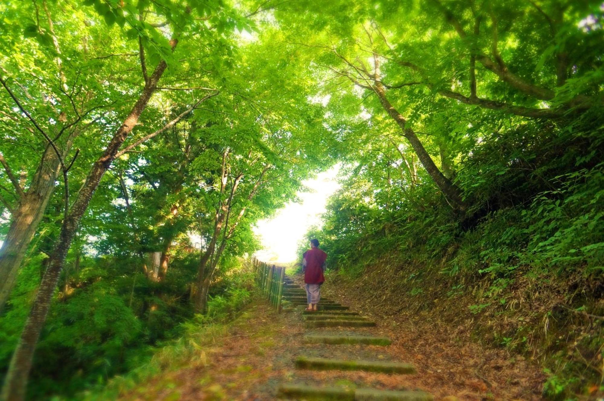 Sannouzan Onsen Zuisenkyo Hotel Ichinoseki Bagian luar foto